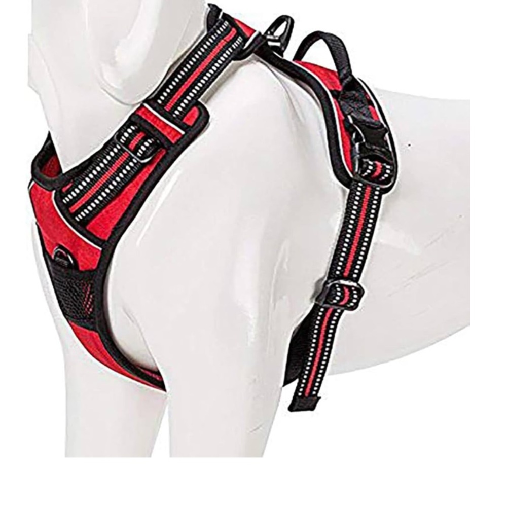 True Love outdoor harness - Picture 14 of 14